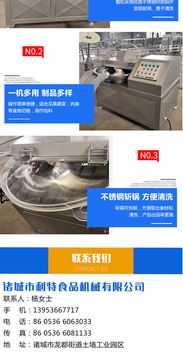 福建小型斩拌机哪家好 诸城利特机械公司高清图片 高清大图