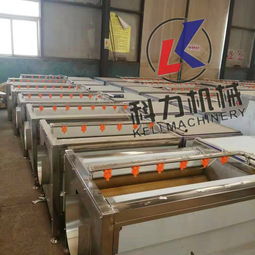 【花生去泥清洗机圆葱去皮清洗机价格专业生产厂家】- 