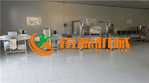 希源机械 直销雪花排条裹粉上糠机与炒菜机设备优势及产品报价分析